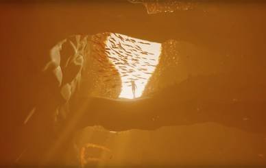 Abzû llega en agosto